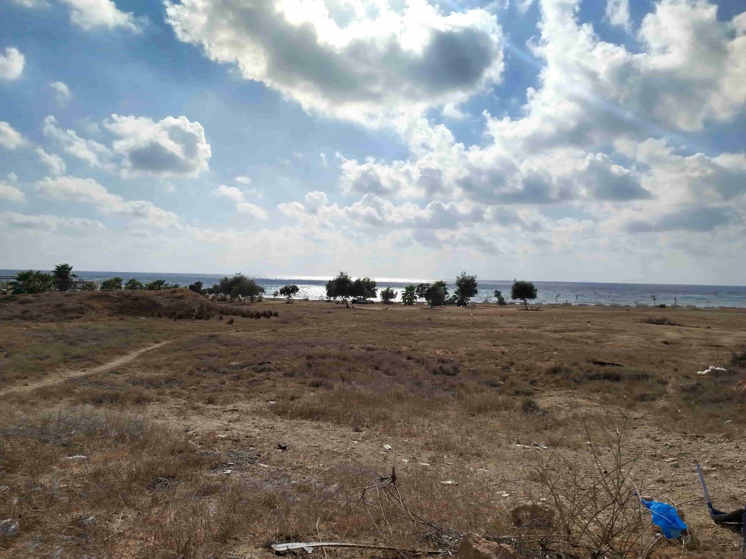 Strand mit Meer und Bäumen im Hintergrund auf Zypern
