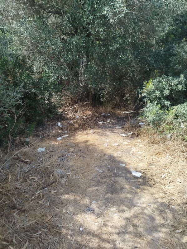 Ein Feldweg mit Bäumen und Büschen im Auswandererland Zypern