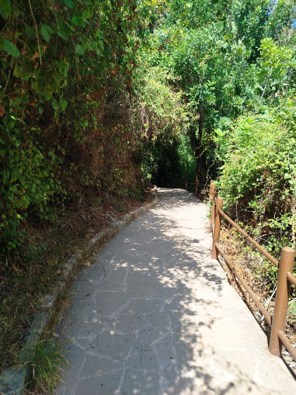 Ein Weg mit Geländer und Bäumen auf Zypern