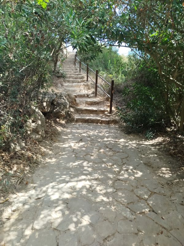 Ein Steinweg mit Geländer und Bäumen auf Zypern
