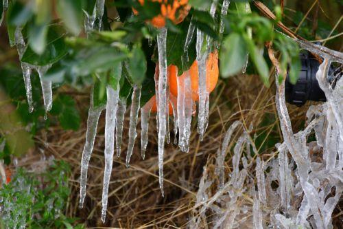 Kaltluftmasse „Coral“ beeinflusst Zypern bis Donnerstag – Temperaturen nähern sich den saisonalen Durchschnittswerten