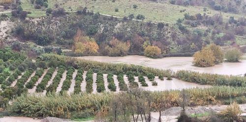 EU-Kommission soll Schutzmaßnahmen und Folgenabschätzungen für Landwirtschaft und Ernährungssicherheit verstärken