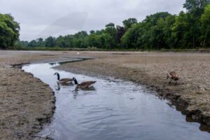 Wasser als Schlüsselressource: Zypern unterstützt EU-Strategie für Wasserresilienz
