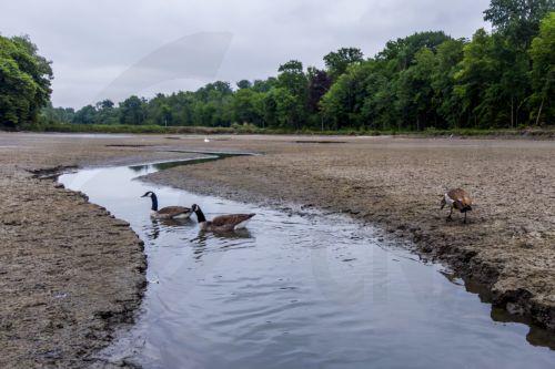 Wasser als Schlüsselressource: Zypern unterstützt EU-Strategie für Wasserresilienz