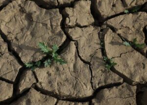 Zyperns Landwirtschaft unter Druck: Dürre, Extremwetter und die Suche nach europäischen Lösungen (Lösung = Fördergeld)