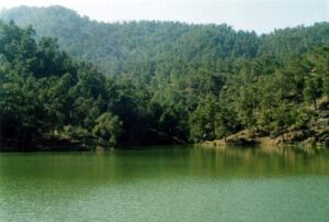 Zypern stärkt den Waldschutz: 1,275 Mio. Euro für neue Infrastruktur und nachhaltige Nutzung der Forstgebiete