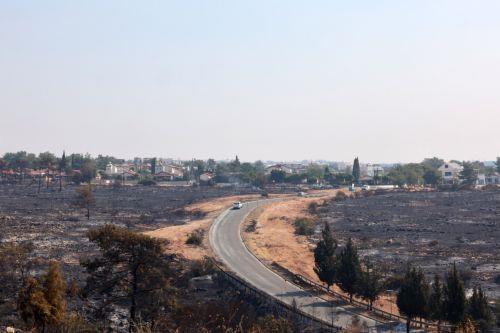 Brandkatastrophe in Limassol: Zypern setzt Hilfsmaßnahmen über 17,4 Mio. € um
