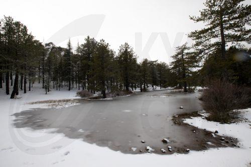 Troodos Rising to the Stars